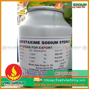 CEFOTAXIME SODIUM STERILE KHÁNG SINH CHO THỦY SẢN